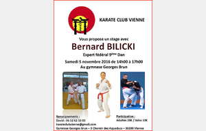 Stage Bilicki - 5 nov 2016 Vienne