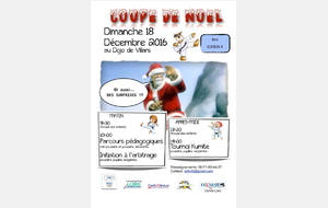 Coupe de Noel