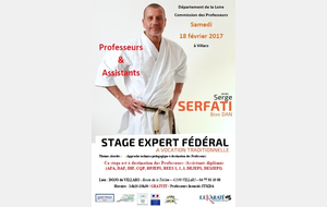 Stage Expert Fédéral - Professeurs & Assistants - Serge Serfati 8 Dan