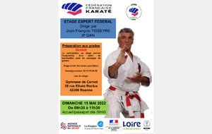 Stage Tisseyre Roanne