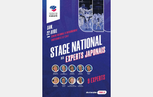 Stage Experts Japonais