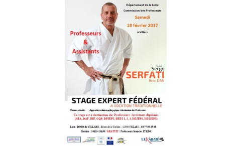 Stage Expert Fédéral - Professeurs &amp; Assistants - Serge Serfati 8 Dan